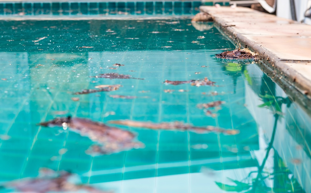 off season pool projects